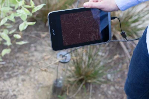 CI-602 Root Imager and Analyzer (CID) - Görsel 3
